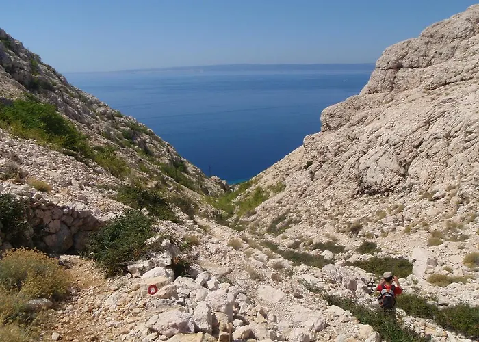 Monika & Breakfast Baskets 236 Lejlighed *