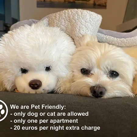 Monika & Breakfast Baskets 236 아파트 푸나트